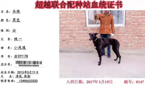 头狼 CY178，900250000445099