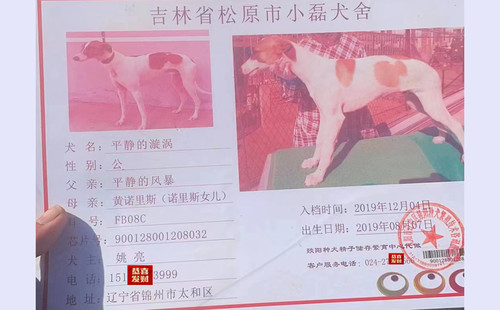 平静的漩涡 900128001208032，FB08C