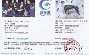 杜克X济宁高广润的拉克兰闪电988000001880401（2025年10月16日配）.jpg