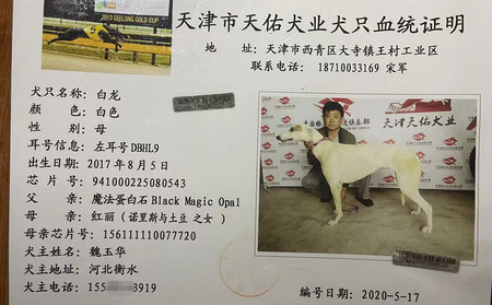 白龙 DBHL9，941000225080543