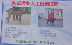 艾里斯X幻想公主 900215000085704.jpg