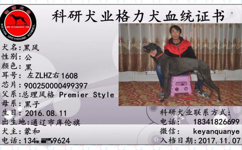 黑风 900250000499397，ZLHZ1608
