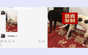 顶蜂X黑鹰 156018988071905.jpg