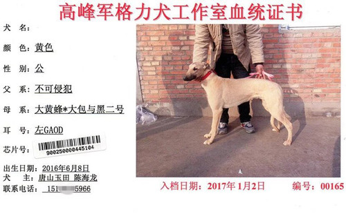 一零四 900250000445104