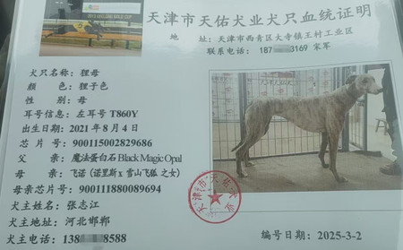 狸母 900115002829686，T860Y