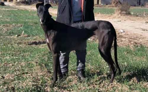 迷人的佳妮 900111881005748