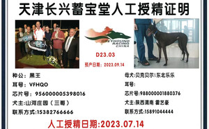 黑王X渭南霍艺豪的988000001880376（2023年7月14日配）.jpg