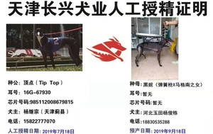 顶点X黑妮 900215001626874，J611C.jpg