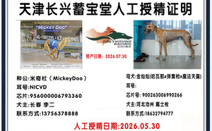 米奇杜X金灿灿 900263006990266.jpg