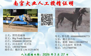 野性的碰撞X黑乌鸦 990000006890773.jpg