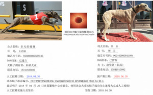 非凡的碰撞X乐乐900100000041984.jpg