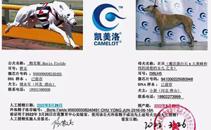 鲍里斯X黄黄 DBLH5，941000225080948.jpg