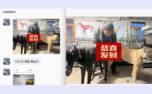 瑞风X黄宝马 400123001481527.jpg