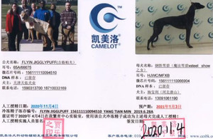 吉格帕夫X钢铁雪碧 156111110066904.jpg