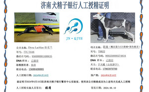 拉克兰X花浪 900250000274634，TDB22.jpg