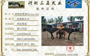 奇怪的男孩X反叛的公主900111881005881.jpg