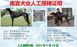 普雷斯顿X独眼8号 156111110088718，NGXH516BA.jpg