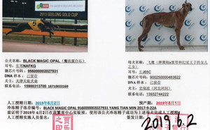 魔法蛋白石X飞鹰 J65C，900250000483822.jpg