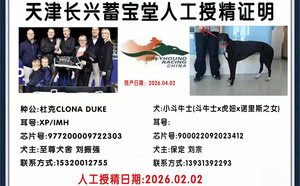 杜克X小斗牛士 900022092023412.jpg