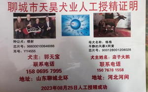 喷射X格格 900128001208028.jpg