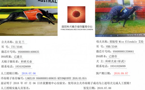拉克兰X艾伦戴尔小姐 Miss Ellendale，956000001358661，VBB 3348.jpg
