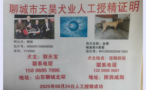 喷射X金箭 941000225081563.jpg