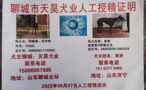 阿斯顿吉甘特X斯斯 988000001880029.jpg