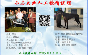 黑王X黑带 156111110096135，900115001743570，NGXH716BA.jpg