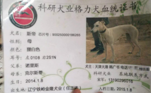 斯帝 900250000186265，01082S1N