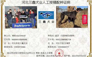 喷射X温莎 900111880081718，900005761104664.jpg