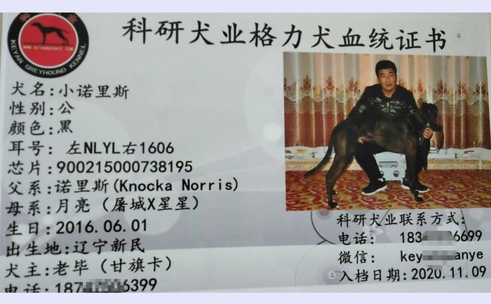 小诺里斯 900215000738195，NLYL1606