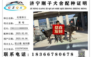 幻觉帝王X黑母 156111110089359，NGQX316C.jpg