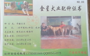卡酷贝尔X飞鸟 900250000364263，GAOD.jpg
