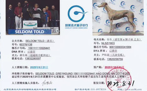 嘉里X乐乐 900100000041984，NLSZ1603.jpg