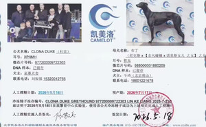 杜克X布丁 988000001880209.jpg