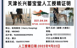 哈利保持X乐虎900022092028757.jpg