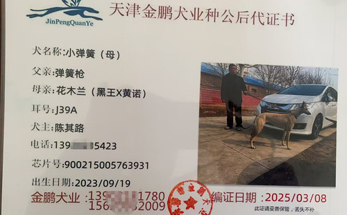 小弹簧 900215005763931，J39A