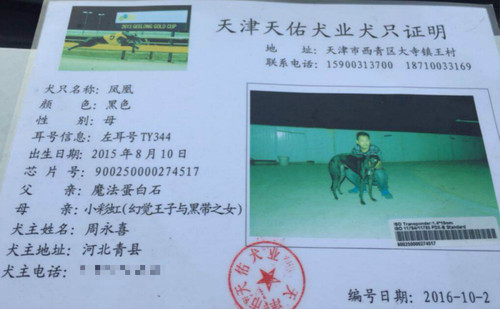 凤凰 TY344，900250000274517