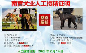 尼克斯X安平孙栋利的小弹簧枪（2023年2月14日配）.jpg