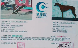 阿斯顿保罗X大妞子 941000016715150.jpg