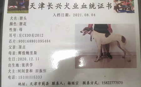 狸头 900168801095484，CXDD2012