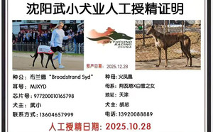 布兰德X火凤凰 900219000721592，HJWCAWT.jpg