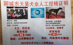 喷射X红色里约 900158801047602.jpg