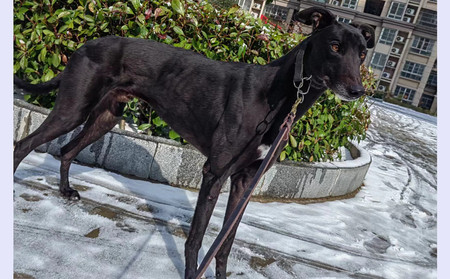 永腾旺财 900155000057800，CXDD1910