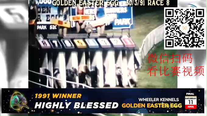 1991年高度祝福 Highly Blessed赢得金色复活节彩蛋的比赛视频.jpg