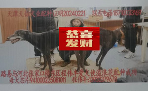 路易X使溢浪花 941000225081011.jpg