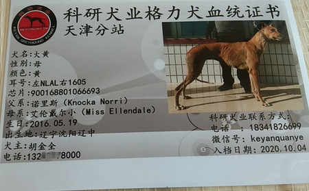 大黄 900168801066693，NLAL1605