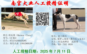 哈瓦那X花母 988000001880090.jpg