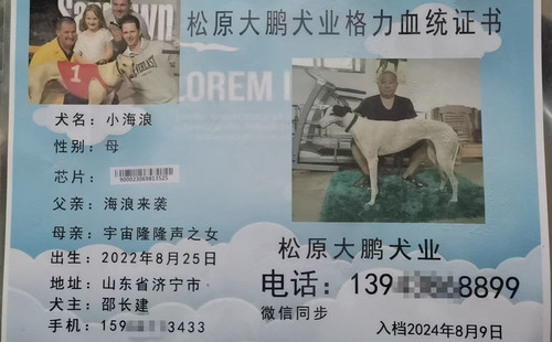 小海浪 900023069813525