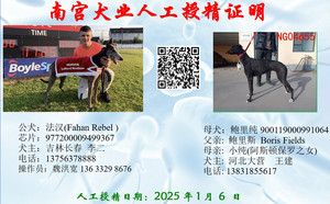 法汉X大营王建的鲍里纯900119000991064（2025年1月6日配）.jpg